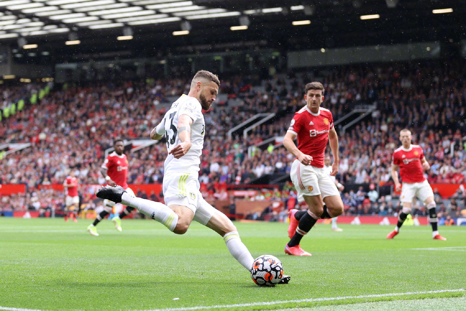 性与情感间 性与情感间